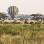 Tarangire_Air Balloon2