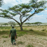 rear-view-man-walking-field-against-sky